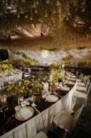 Ginkgo-Theme_0004
