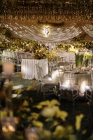 Ginkgo-Theme_0005