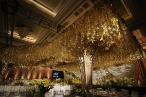 Ginkgo-Theme_0008