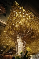 Ginkgo-Theme_0009