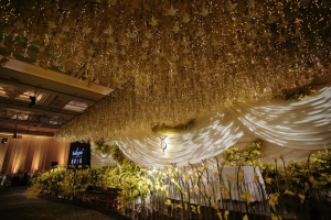 Ginkgo-Theme_0010