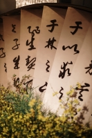 Ginkgo-Theme_0012