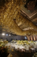 Ginkgo-Theme_0020