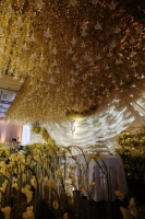Ginkgo-Theme_0021