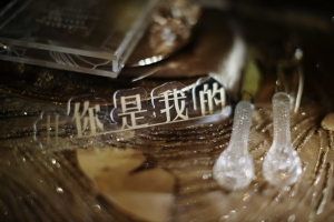 Ginkgo-Theme_0024
