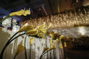 Ginkgo-Theme_0026