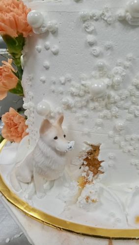 Cake 11