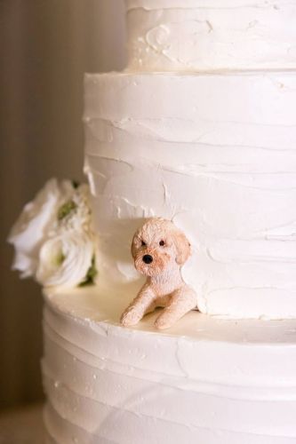 Cake 21