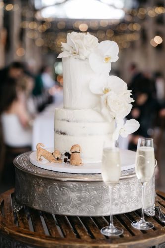 Cake 22